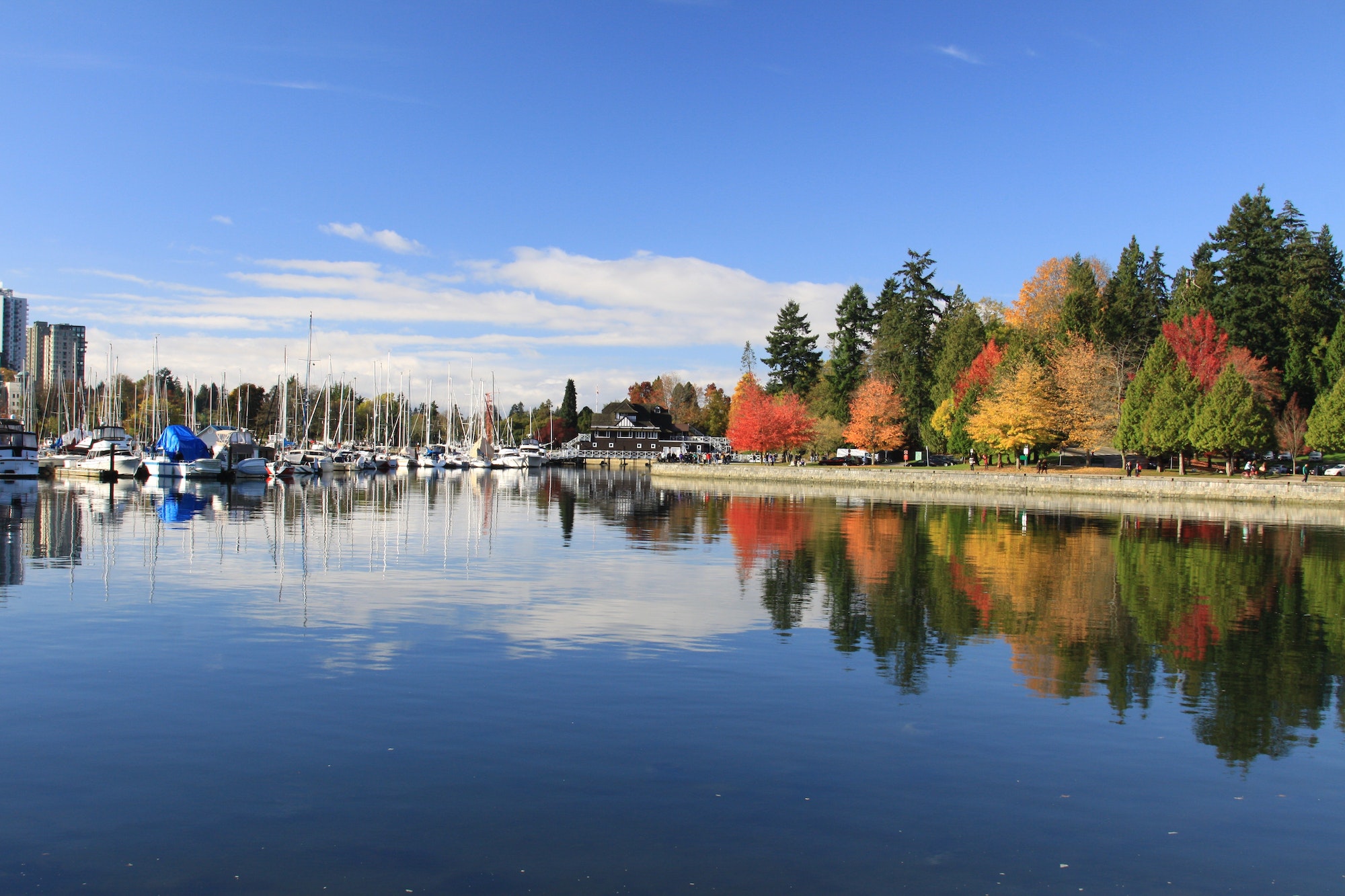 Beautiful Stanley Park in Vancouver