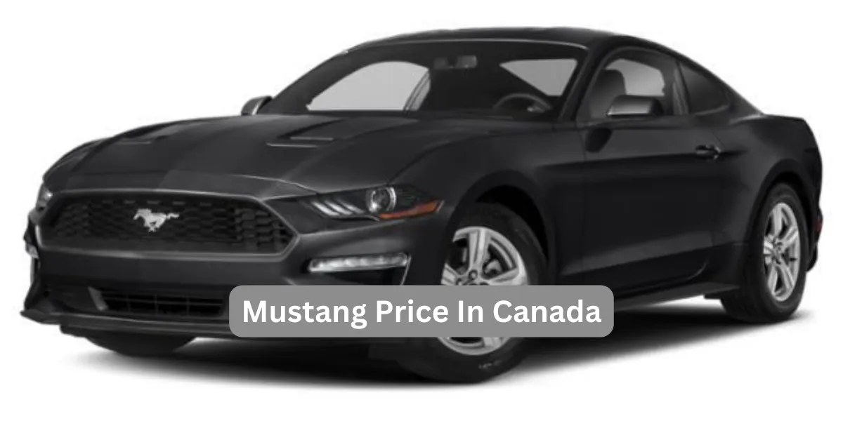 Mustang Price In Canada