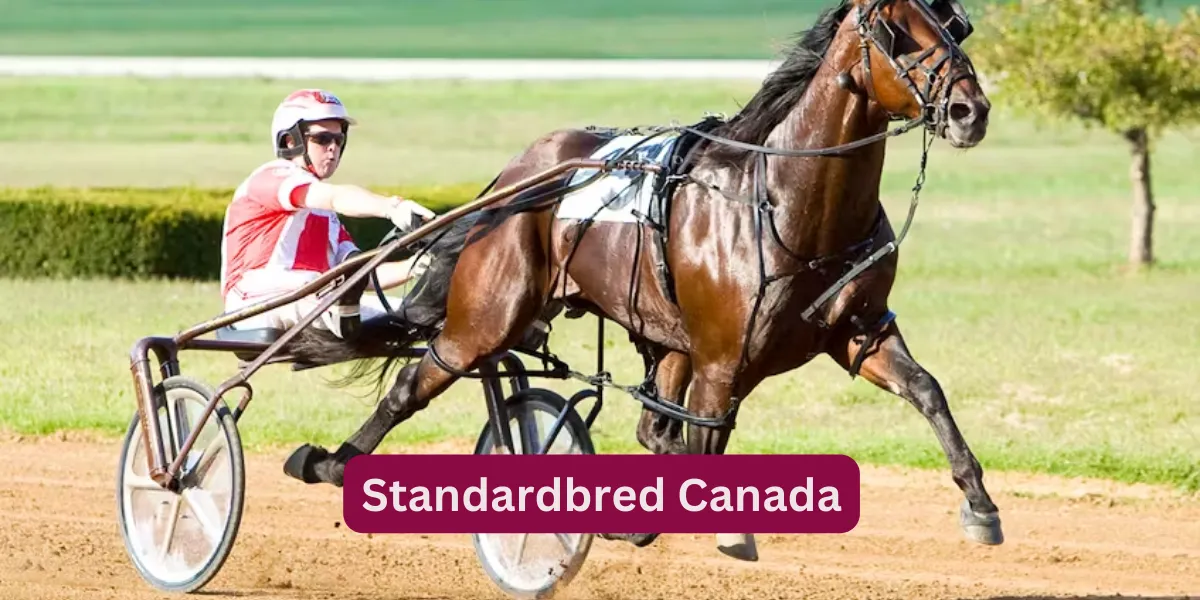 Standardbred Canada