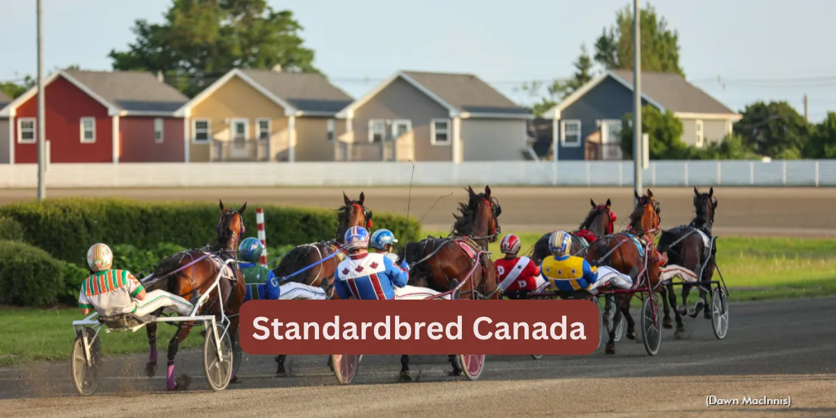 Standardbred Canada