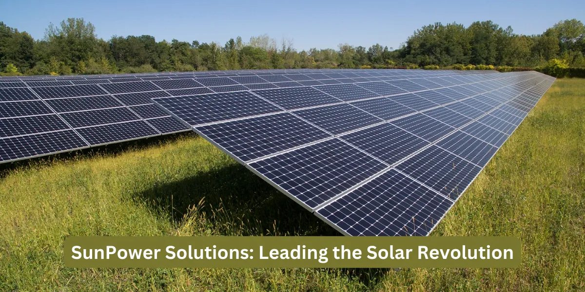 Discover the Best Solar Company in University Place In Canada