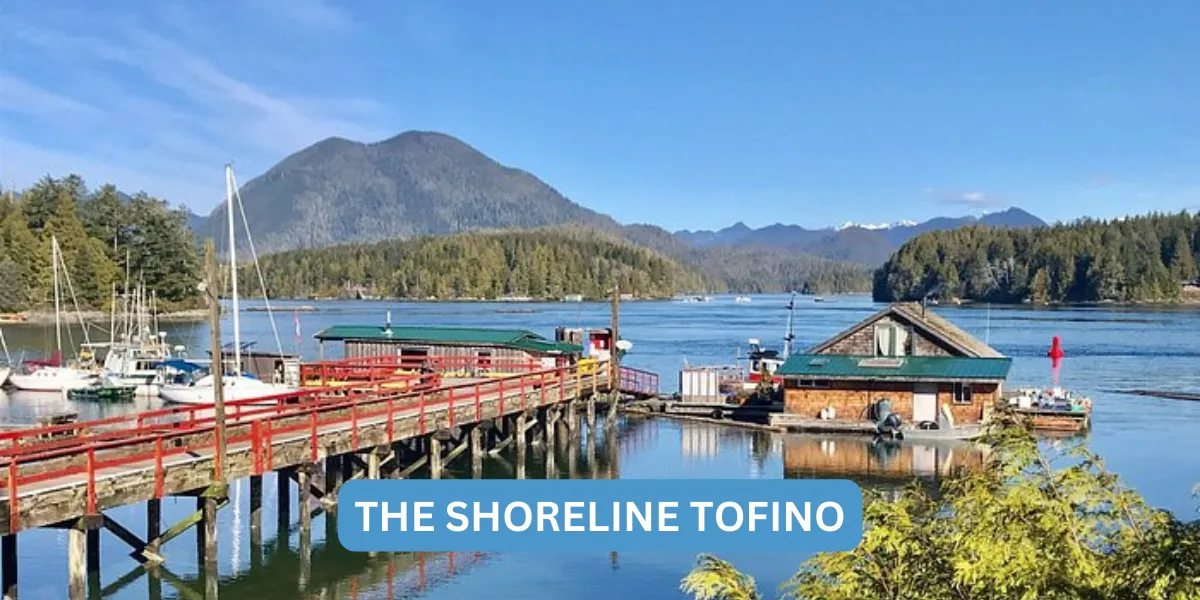 Best Places to Stay in Tofino