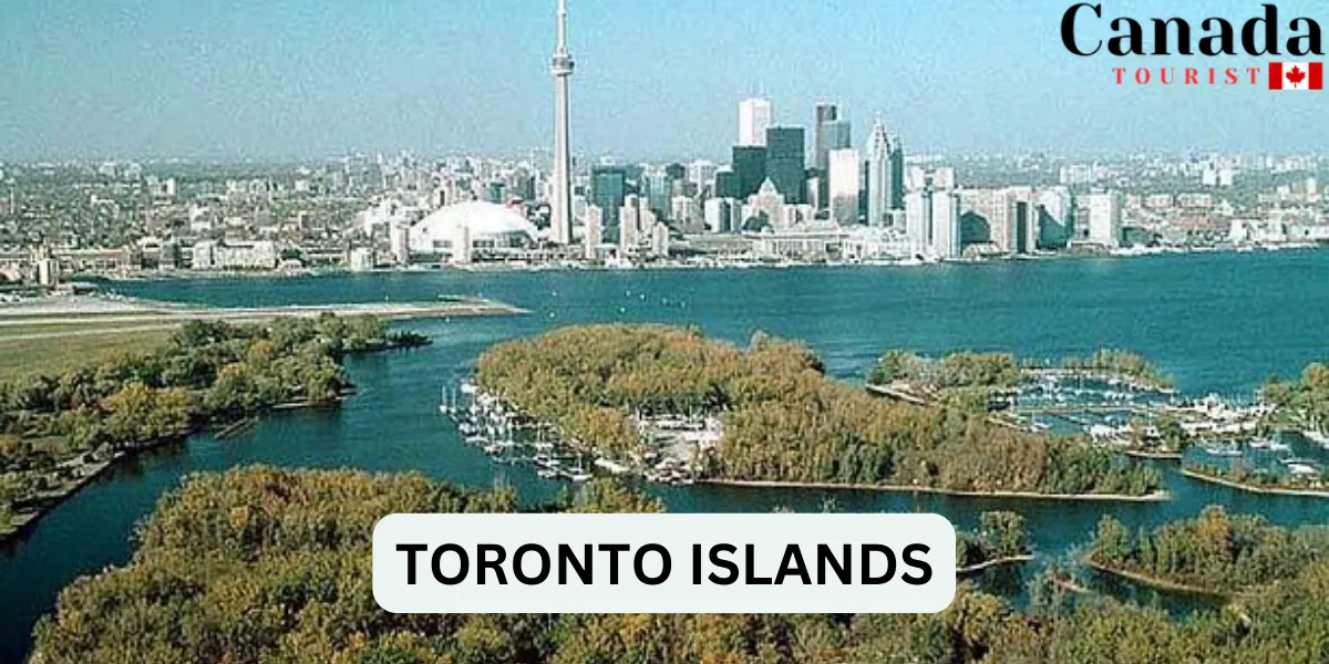 Best Places to Study in Toronto