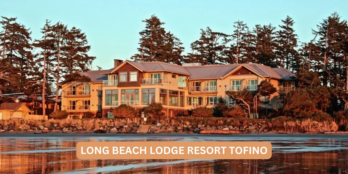 Best Places to Stay in Tofino