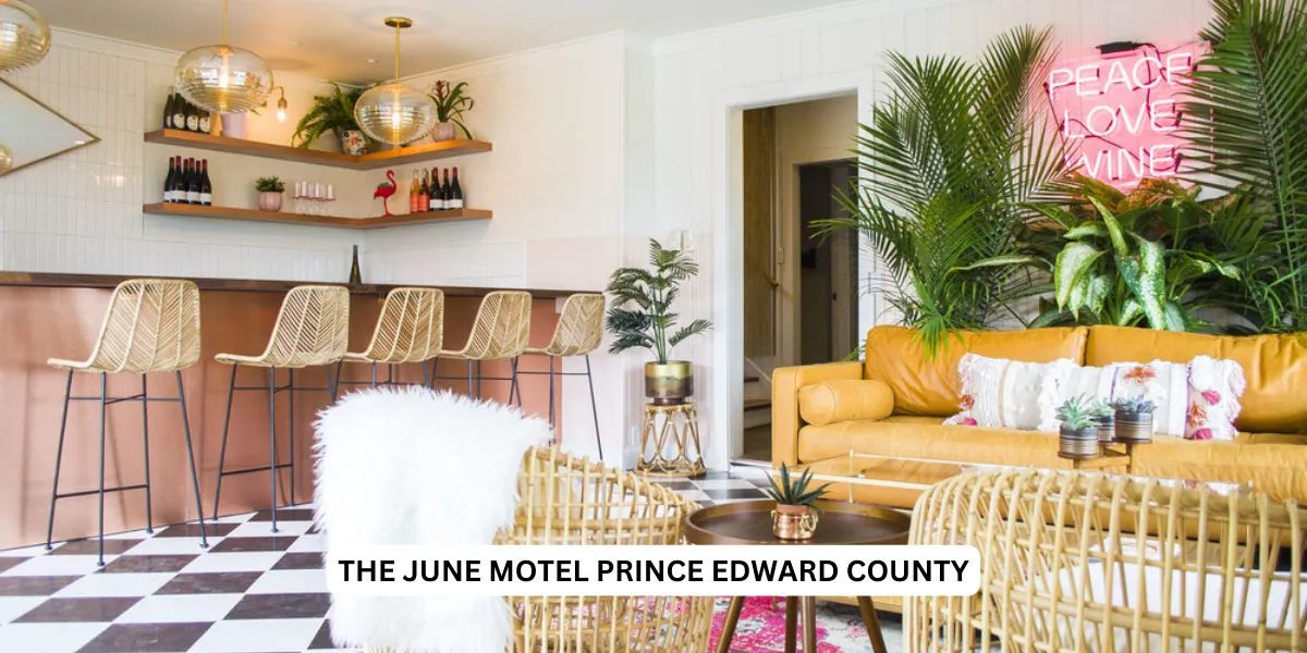 Discover the Best Places to Stay in Prince Edward County for a Memorable Experience