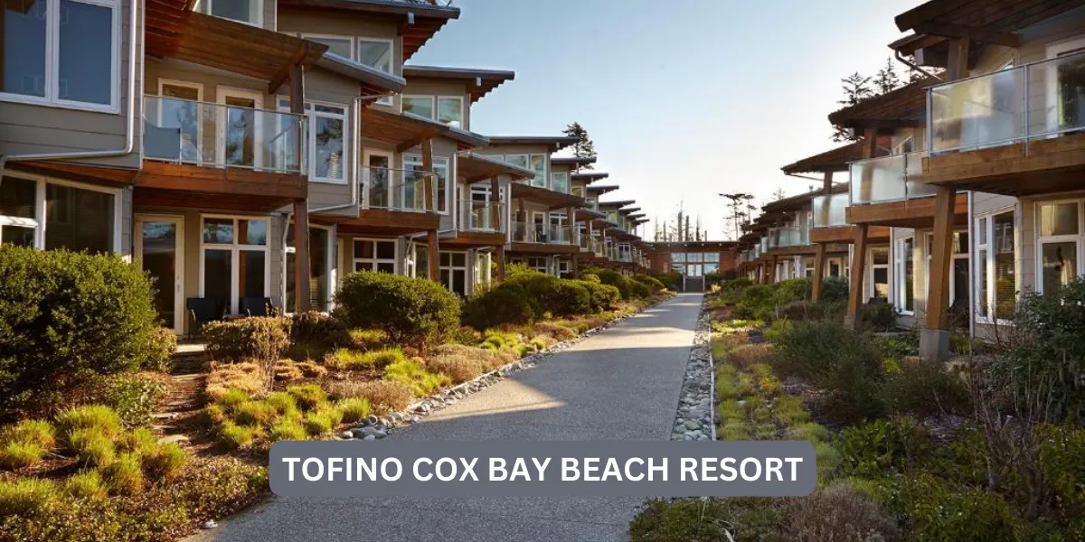 Best Places to Stay in Tofino