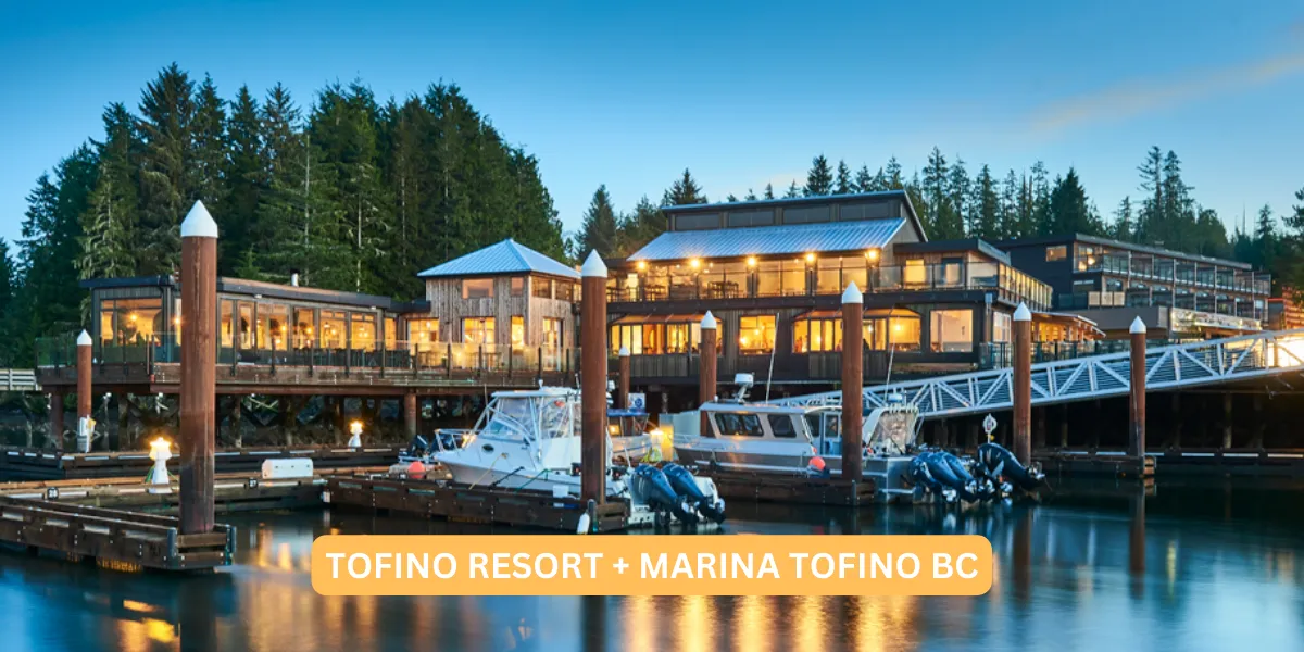 Best Places to Stay in Tofino