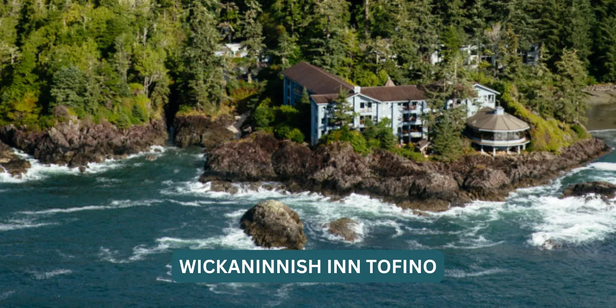 Best Places to Stay in Tofino