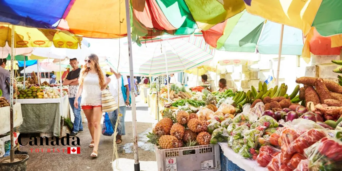 Where To Find Ontario’S Best Farmers Markets