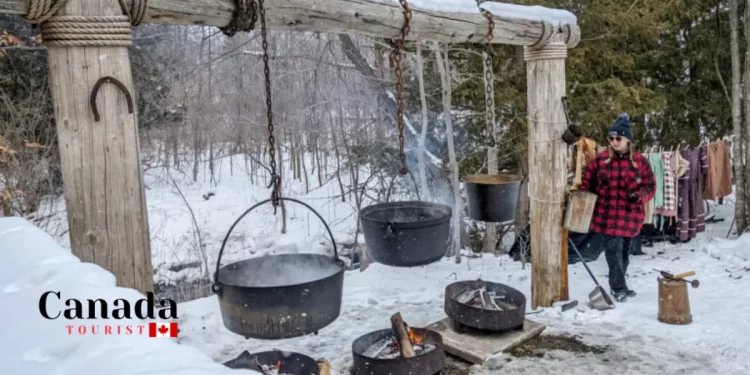 Best Maple Festivals & Events In Ontario