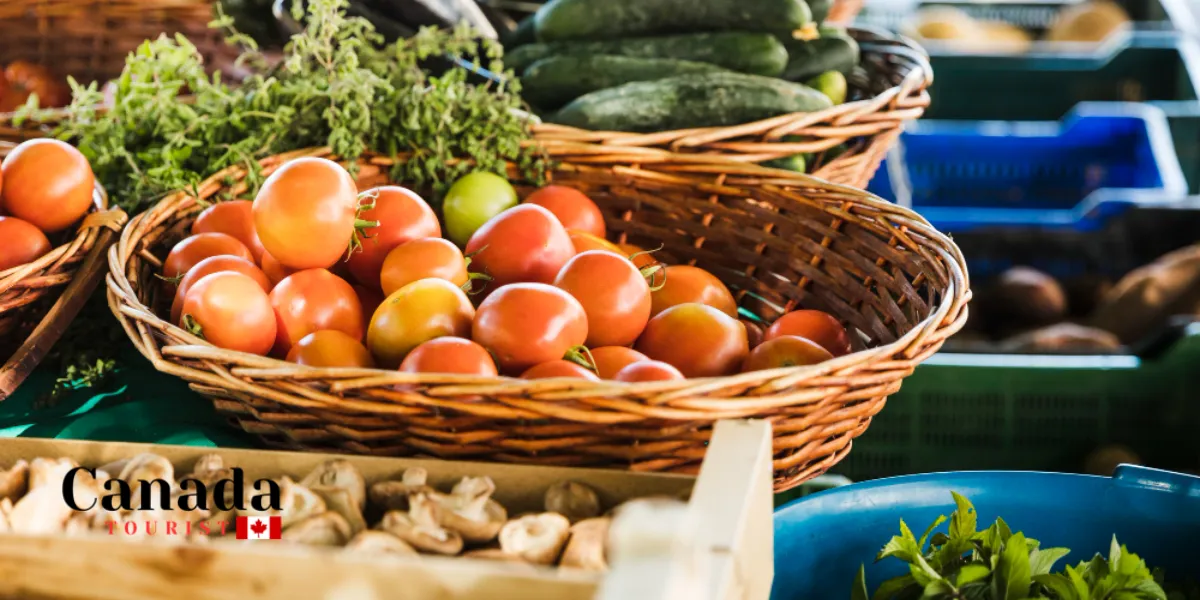 Where To Find Ontario’S Best Farmers Markets