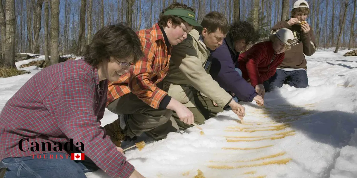 Best Maple Festivals & Events In Ontario