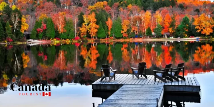 Best Fall Activities In Ontario