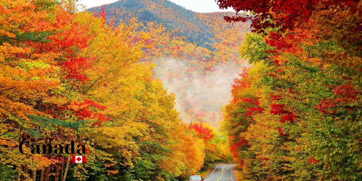 Things To Do With Spectacular Fall Colour Views