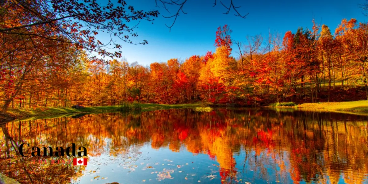 Things To Do With Spectacular Fall Colour Views