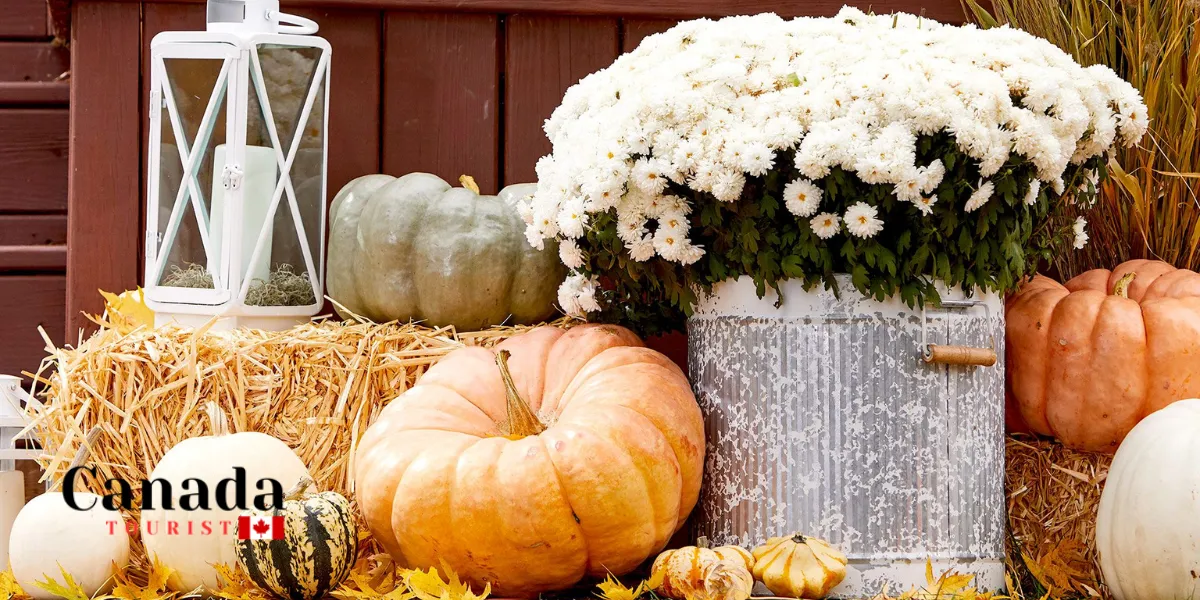 Ontario Fall Fairs & Fall Harvest Festivals