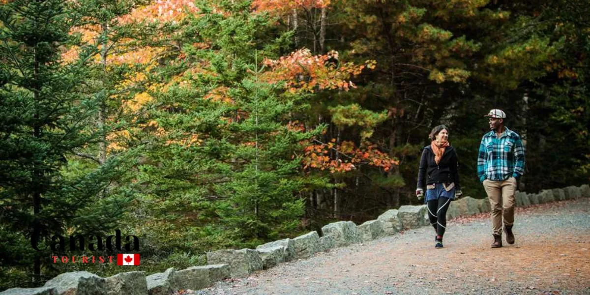 Things To Do With Spectacular Fall Colour Views