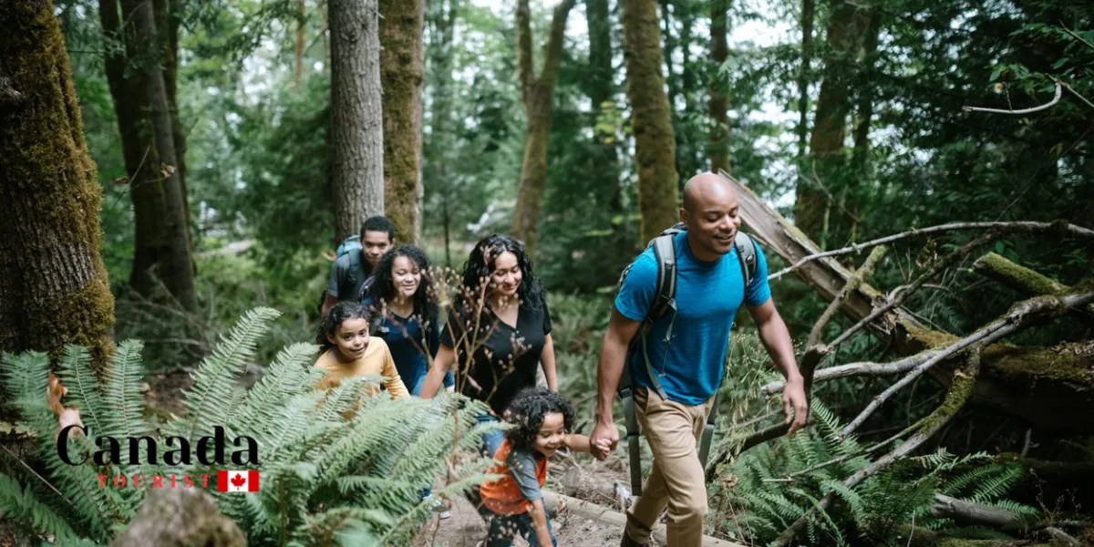 Treetop Adventures To Try This Fall In Ontario