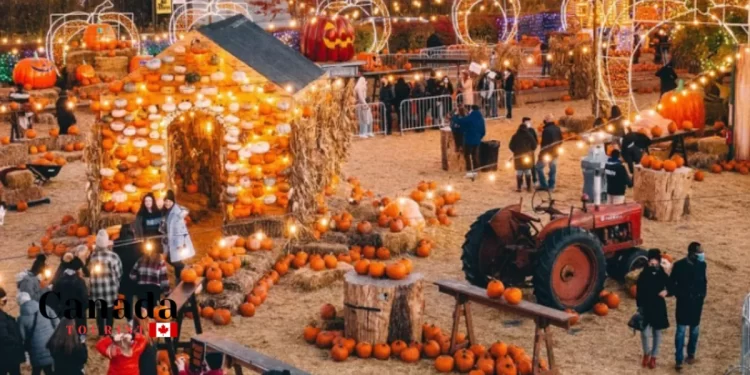 Halloween Events In Ontario