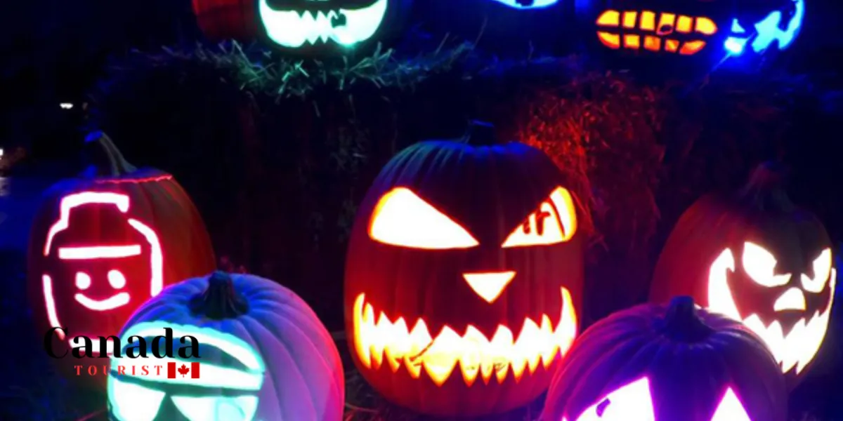 Halloween Spooktacular Light Show Is Back