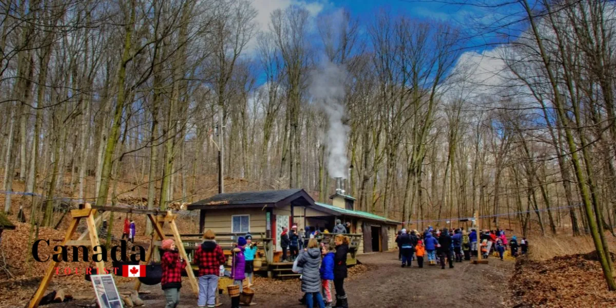 Best Maple Festivals & Events In Ontario