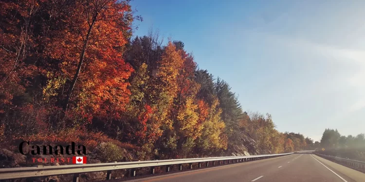 Ontario’S Best Road Trip Destinations