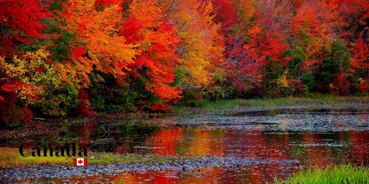 Things To Do With Spectacular Fall Colour Views