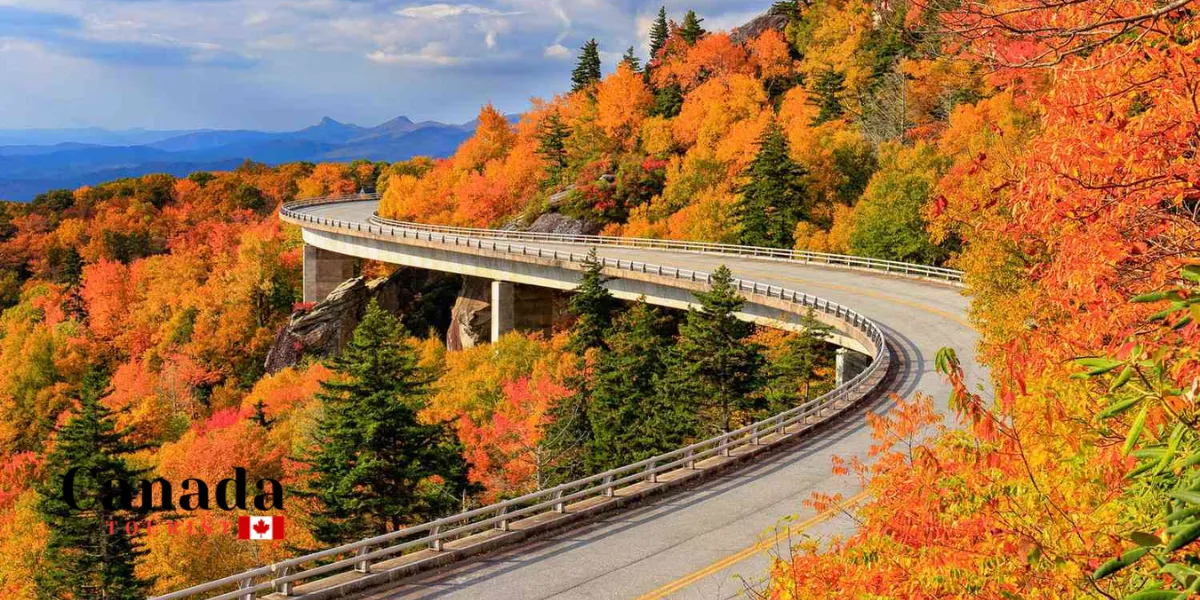 Things To Do With Spectacular Fall Colour Views