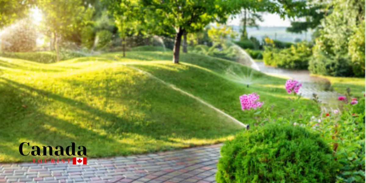 Spring Has Sprung In Ontario – Like, Actually!