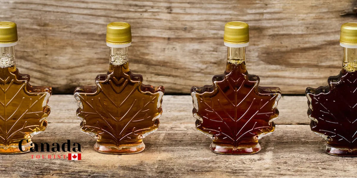 Sweet Maple Experiences In Muskoka