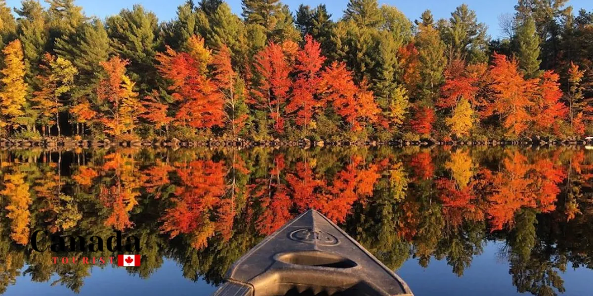 Treetop Adventures To Try This Fall In Ontario