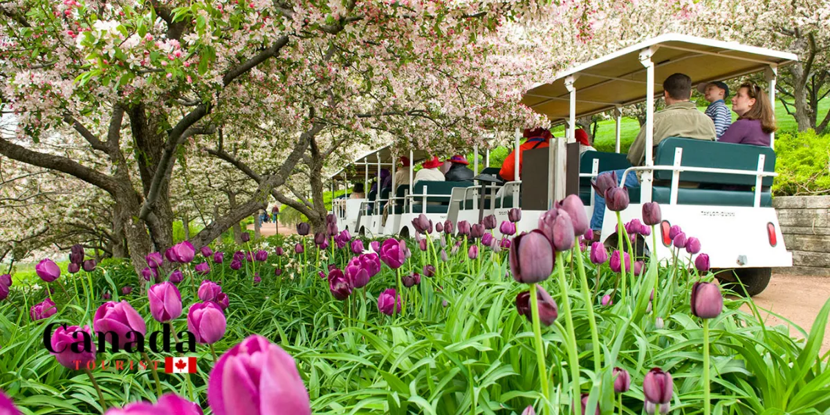 Spring Flavours Of Lake Country Is Here