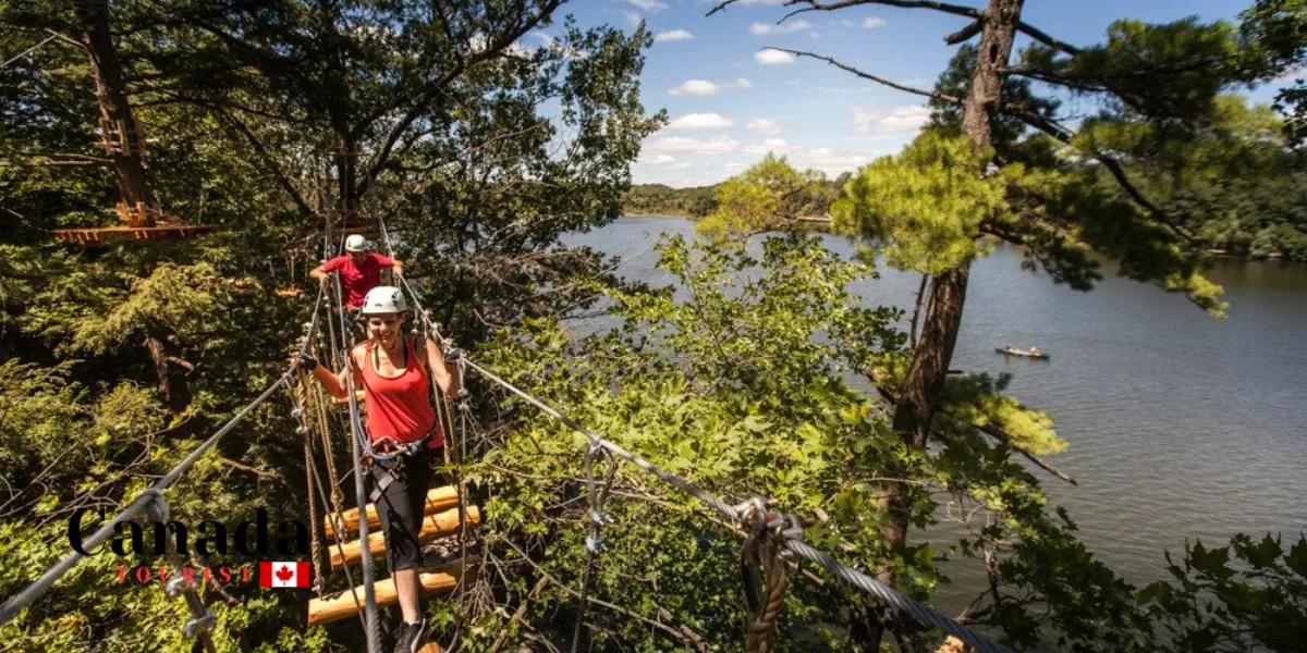 Treetop Adventures To Try This Fall In Ontario