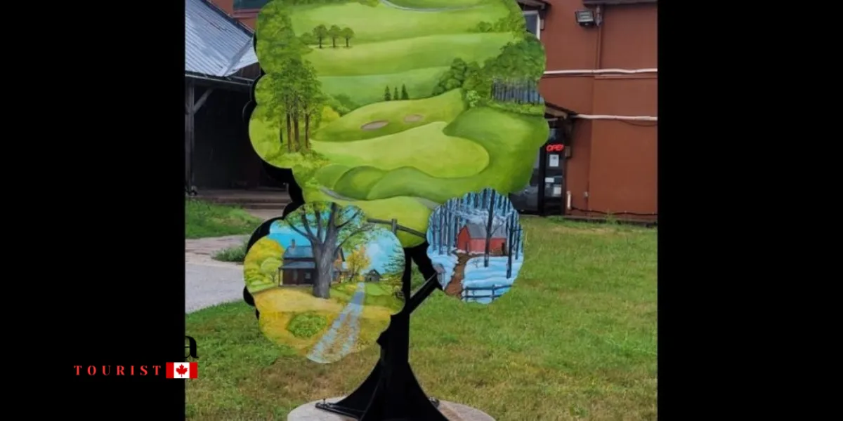 Exploring The Art Tree Trail Of Oro-Medonte