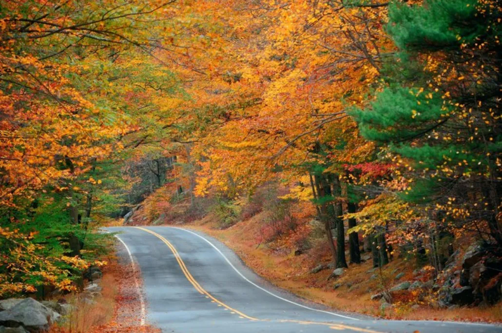 Ontario Fall Colours Road Trips & Drives