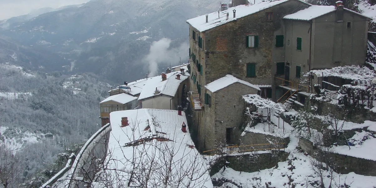 Treetop Trekking Treewalk Village Is Open This Winter