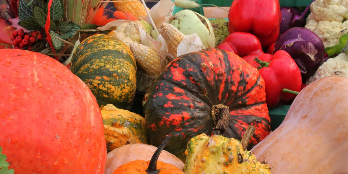 Fall Flavours Returns To Orillia & Lake Lake Country