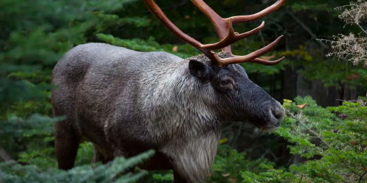 Incredible Ontario Nature Hot Spots