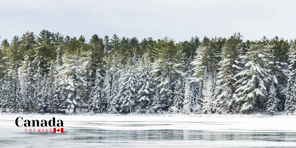 Todoontario Winter Poster Series Revealed