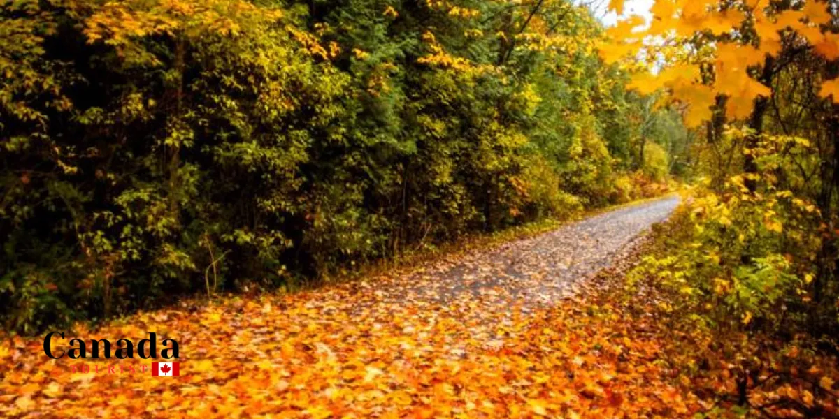 Eastern Ontario Fall Colour Routes