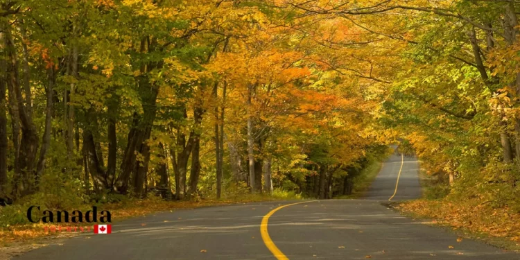 Georgian Bay Fall Colour Routes