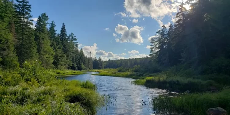 Yours Outdoors And Haliburton Forest Joining Forces