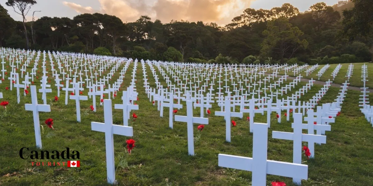 Things To Do On Remembrance Day In Ontario