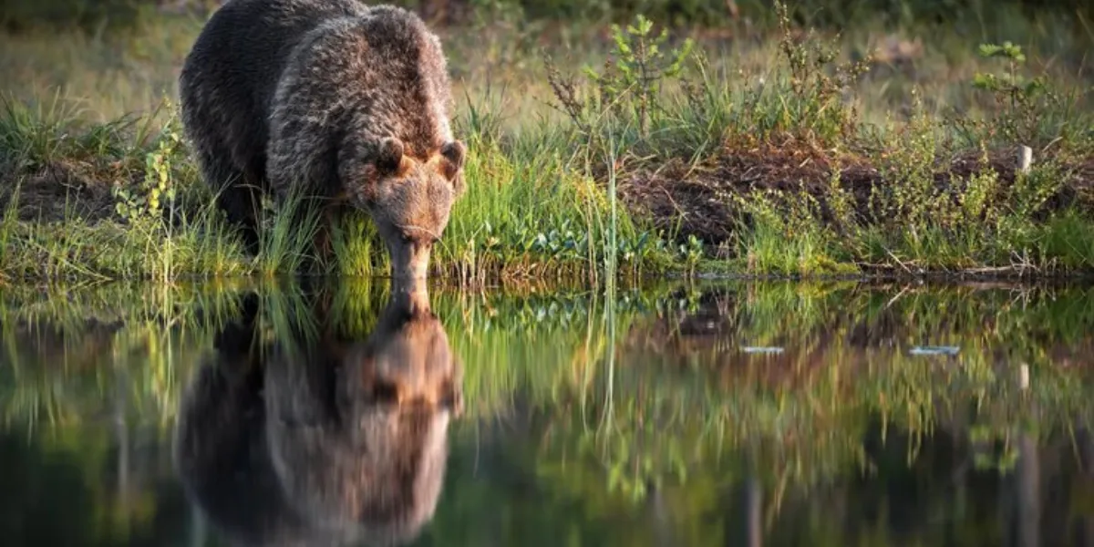 When Vast Forest Meets The Vaster Water Bodies – Must-Visit Lakes In Vancouver