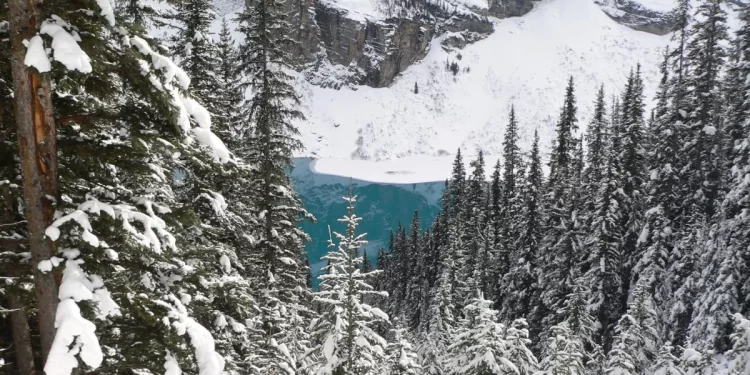 8 Fun Things To Do In Lake Louise In Winter