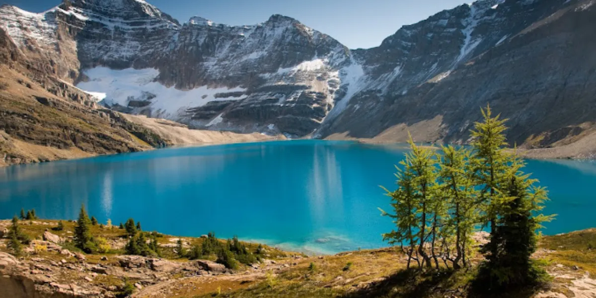 Top National Parks Of Vancouver For All Planning A Vacation To Canada