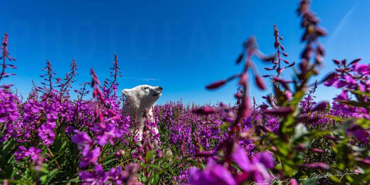 The Best Tips For Photographing Nature In Canada