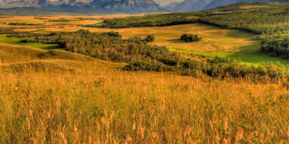 Classic Hikes In The Canadian Rockies