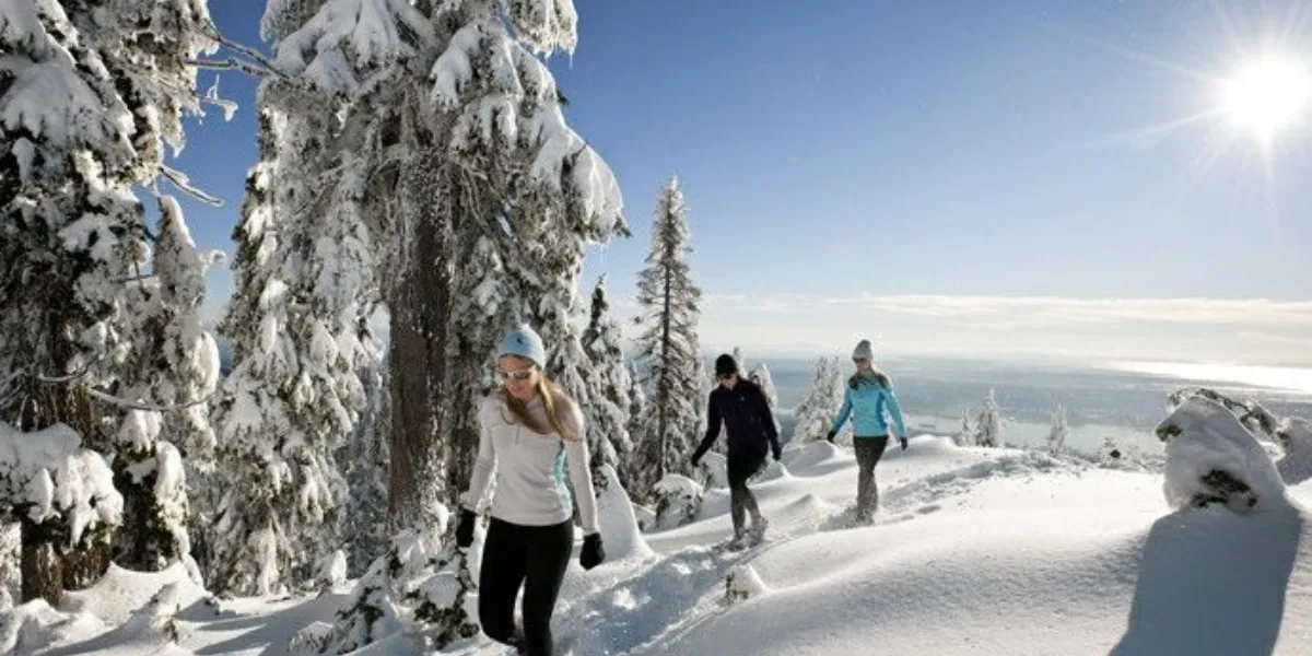 What Are The Best Things To Do In Vancouver In Winter?