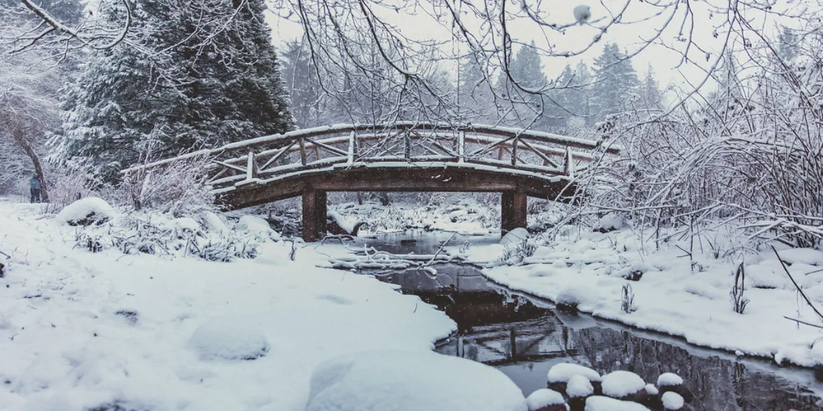 What Are The Best Things To Do In Vancouver In Winter?